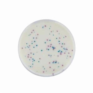 Biokar IRIS Salmonella® Agar - Pre-poured medium 20 plates Ø 90 mm BM16008