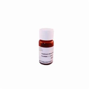 Biokar Gentamicin 25 mg selective supplement 10 vials BS00908
