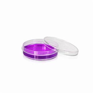 LABPRO QuickFit Cell Culture Dish 60mm, Tissue Culture (TC) Treated, Easy-Grip, Sterile 500 Qty/Ctn LPCP0267 LABPRO QuickFit Cell Culture Dish 60mm, Tissue Culture (TC) Treated, Easy-Grip, Sterile 500 Qty/Ctn LPCP0267