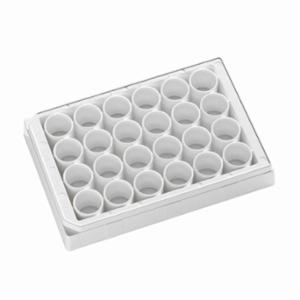 Porvair Sciences 24 Well clear bottom PS microplate White  F bottom assay plate 303002