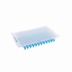 Porvair Sciences Adhesive Seal DMSO X Film - Sterile Sheet SF26080SS