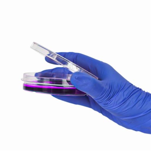 LABPRO QuickFit Cell Culture Dish 150mm, Tissue Culture (TC) Treated, Easy-Grip, Sterile 80 Qty/Ctn LPCP0269