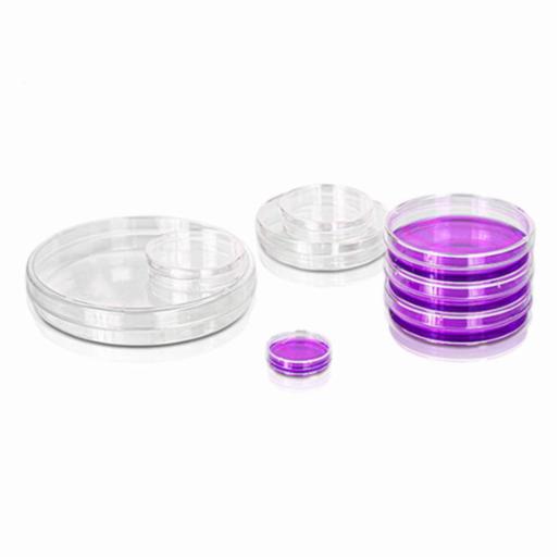 LABPRO QuickFit Cell Culture Dish 150mm, Tissue Culture (TC) Treated, Easy-Grip, Sterile 80 Qty/Ctn LPCP0269